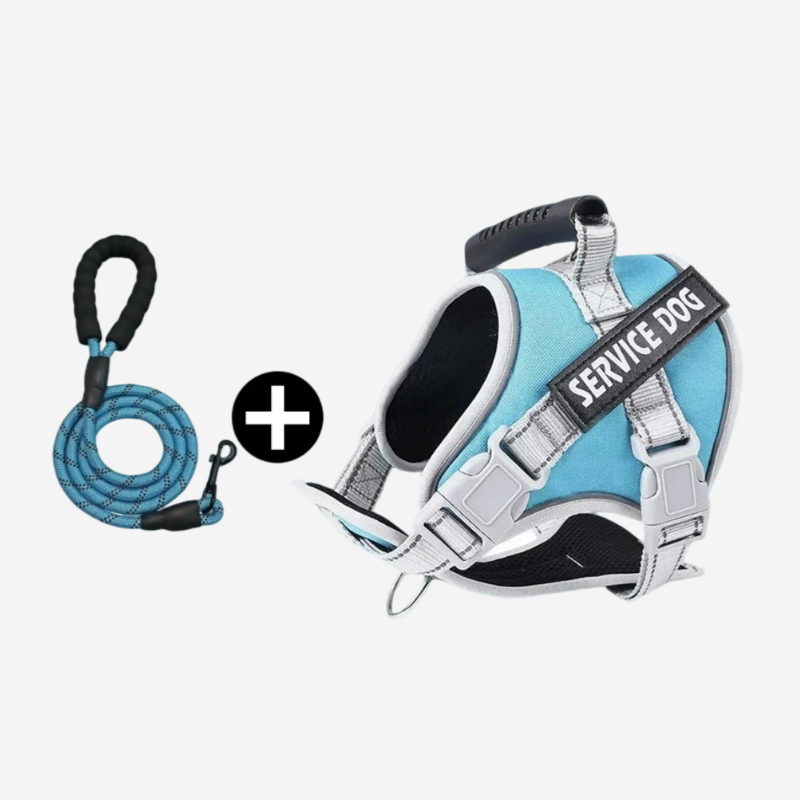 Durable Pet Leash Walking Set - Image 2