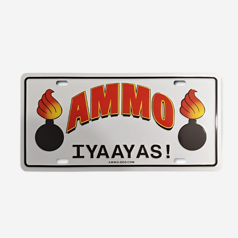 Personalized License Plate Customization - 图片 3