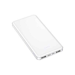 Dual Tpye-c Portable Power Bank