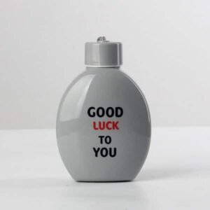 Promotional Double Layer Plastic Glass Bottle 13OZ