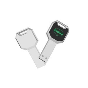 Key Shape LED USB Flash Drive