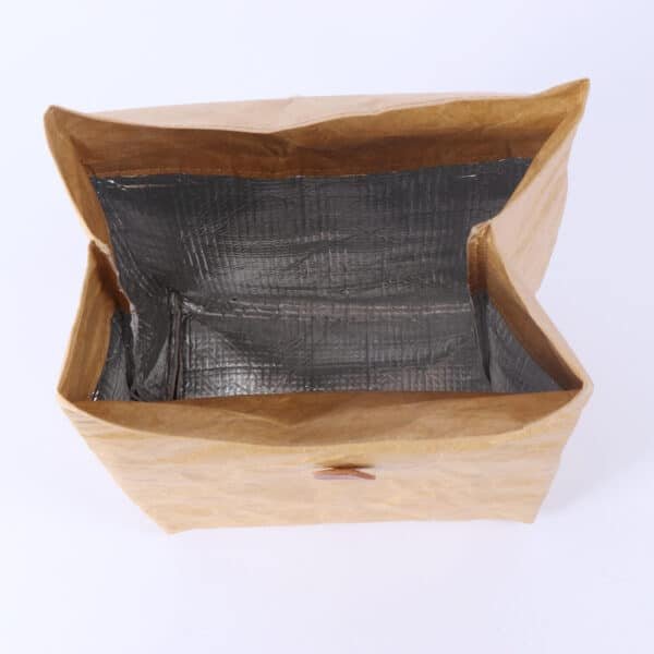 Simple Eco Friendly Dupont Insulated Cooler Bag