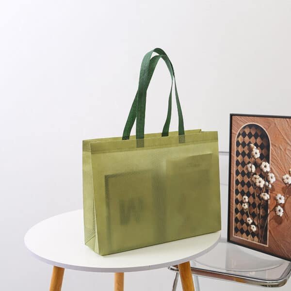 Color Printing Lamination Nonwoven Shopping Bag