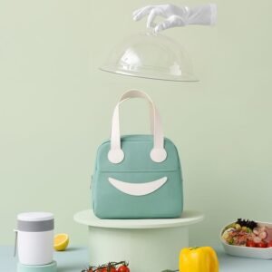 Cute Aluminum Foil Insulated Lunch Bag