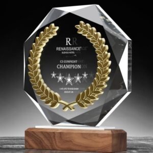 Clear Octagon Crystal Acrylic Award Paperweight Decoration