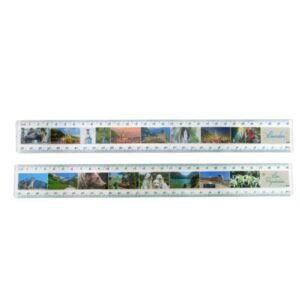 12 Inch Full Color Plastic Ruler