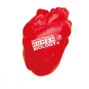 Human Heart Stress Ball