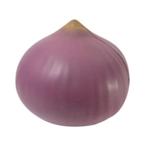 Purple Onion Stress Ball