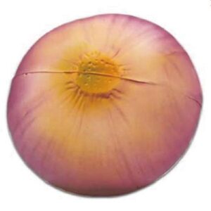 Onion Design Stress Ball