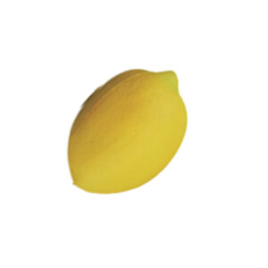 Cute Lemon Stress Ball