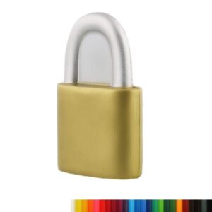 Foam Padlock Stress Ball