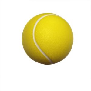 Tennis Ball Stress Ball