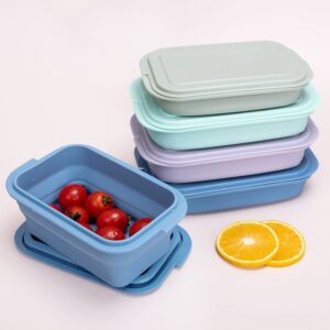 Food Grade Foldable Silicone Lunch Box