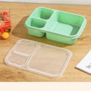 Food-grade Plastic Compartmentalized Lunch box