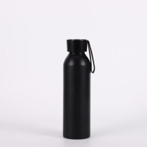 Aluminum Bottle with Carrying Handle -20oz