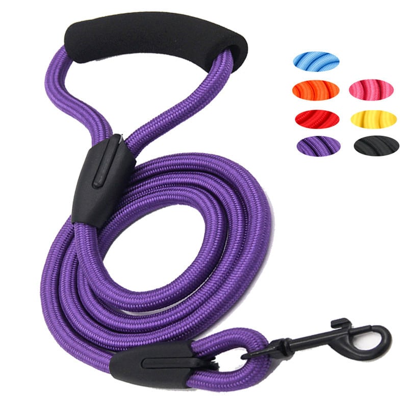 Reflective Dog Collar and Leash Set