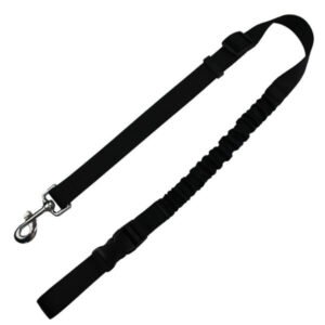 Elastic Polyester Pet Leash