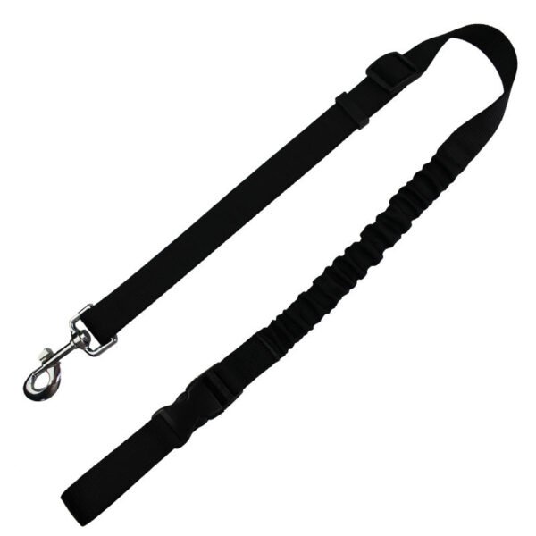 Elastic Polyester Pet Leash