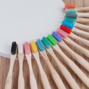 Dazzling Nylon Bristle Bamboo Toothbrush
