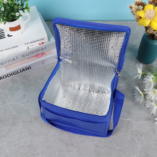 Outdoor Picnic Aluminum Foil Insulated Bag - 图片 2
