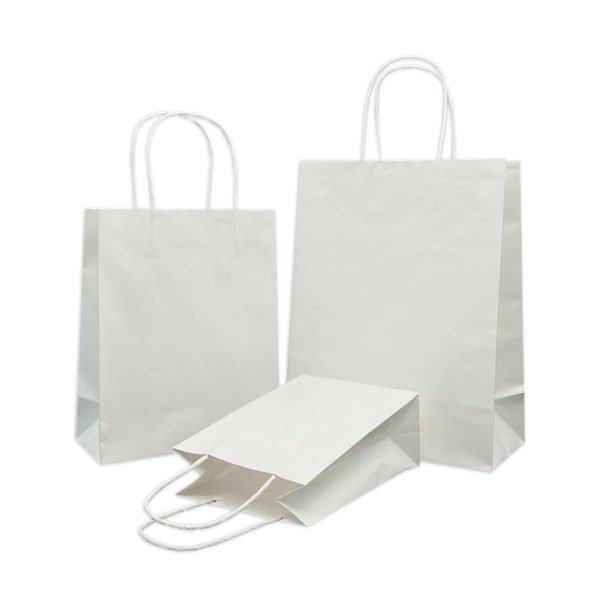 Kraft Paper Bags with Colour Printing Logo - Image 2