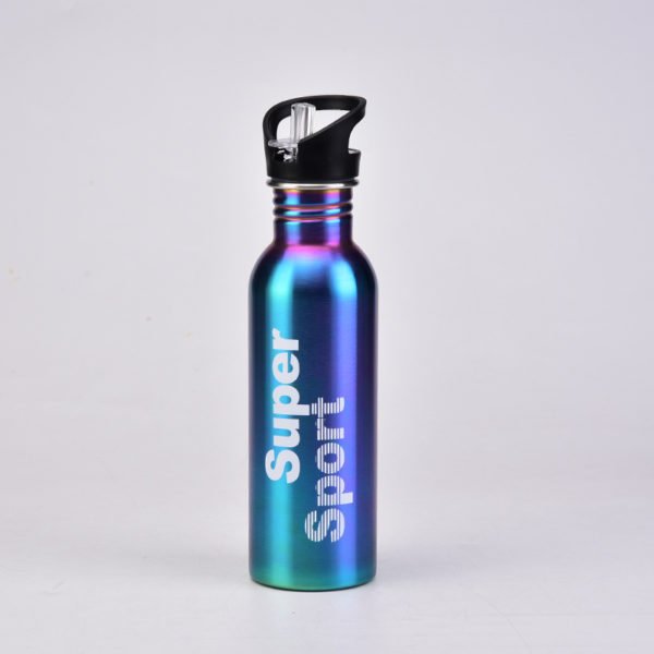 Portable Handheld Single Layer Stainless Steel Bottle With Straw - 图片 2