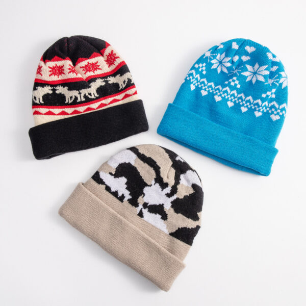 Multicolor Jacquard Knit Beanie - 图片 2