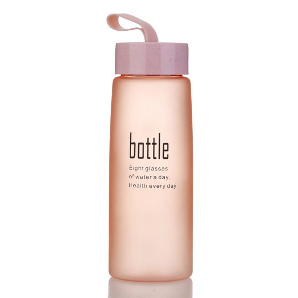 17oz Portable Glass Bottle With Strap - Image 2