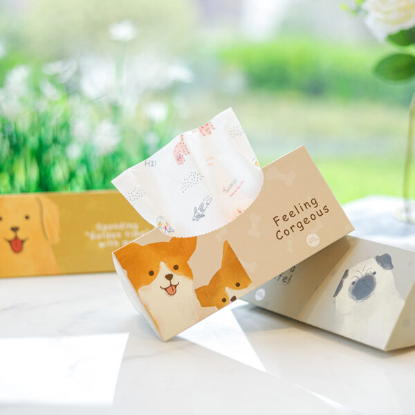 Cute Hard Boxed Printed Tissues - 图片 2