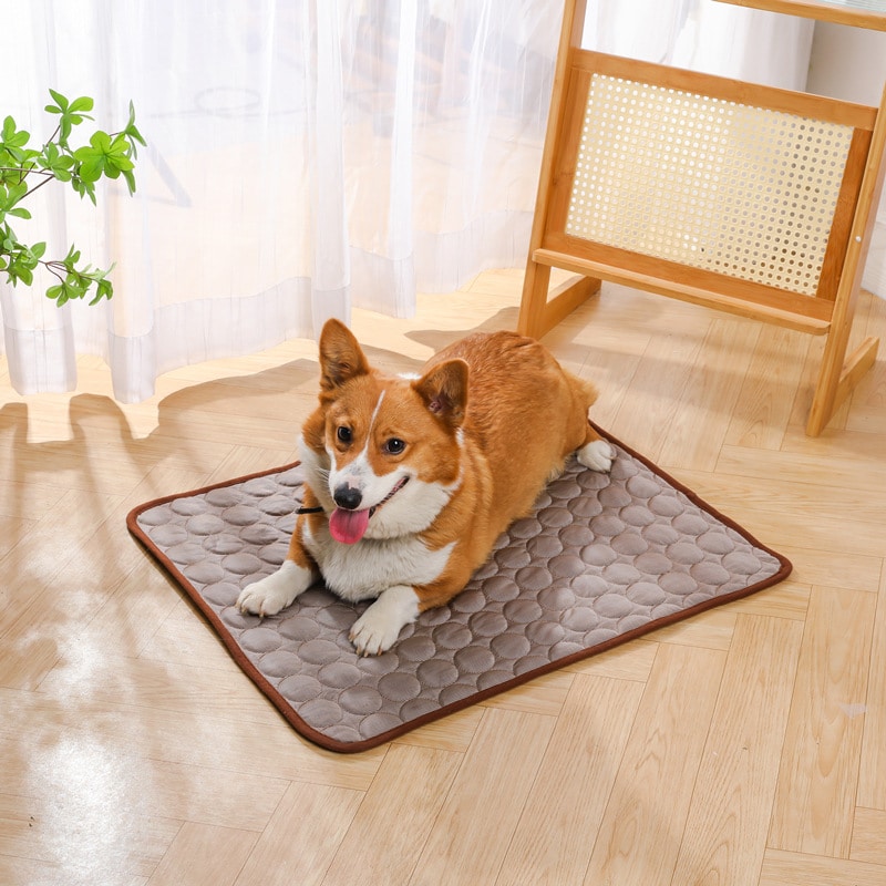 Summer Pet Friendly Ice Cooling Cushion - 图片 2