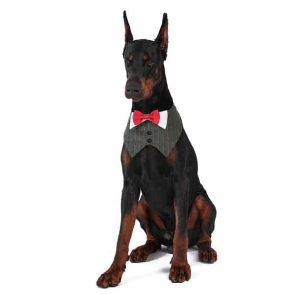 Fashionable Large Dog British Style Suit Collar Drool Scarf - 图片 2