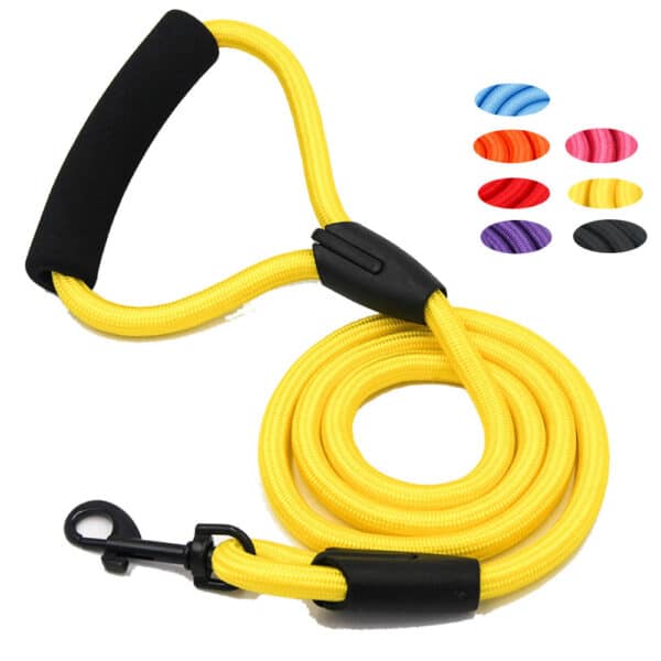 Reflective Dog Collar and Leash Set - 图片 2