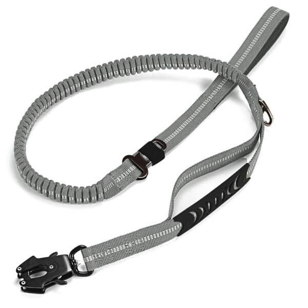 Reflective Leash Durable Nylon Dog Collar - 图片 2