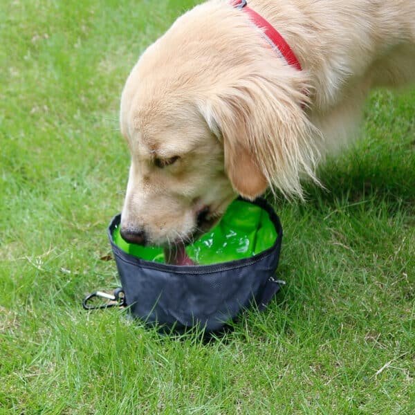 Travel Collapsible Waterproof Nylon Pet Bowl for Food and Water - 图片 2