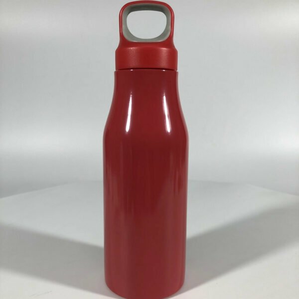 Single Layer Stainless Steel Bottle 22oz - 图片 2
