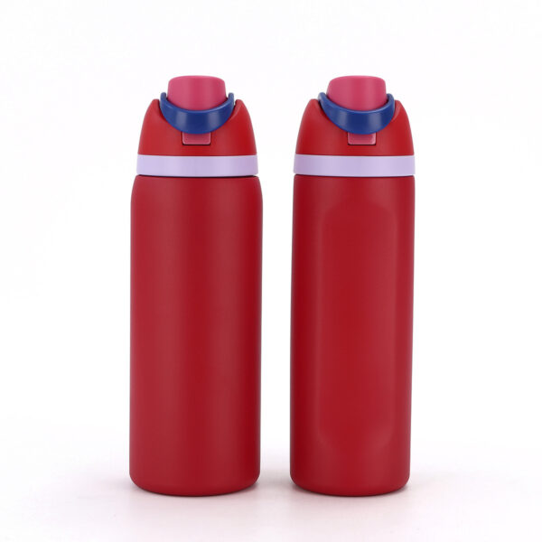 Large Capacity 24oz Double Layer Stainless Steel Insulated Bottle - 图片 2