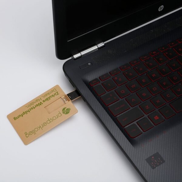 Biodegradable Card USB Flash Drive - 图片 2