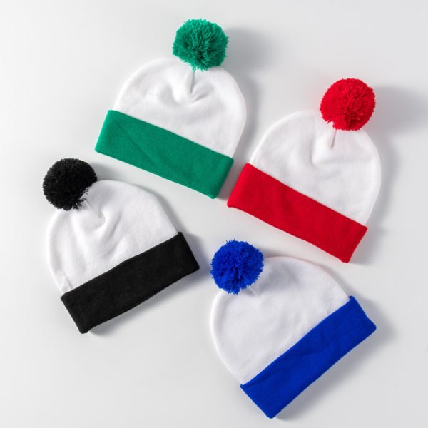 Outdoor Fall/Winter Warm Jacquard Hat - 图片 3