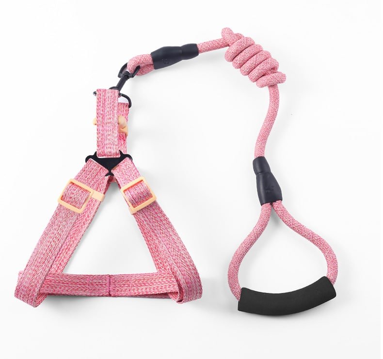 Bite-Resistant Dog Leash Set - 图片 3