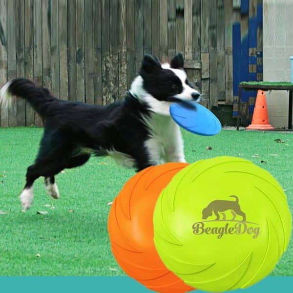 Pet Training TPR Soft Frisbee - 图片 3