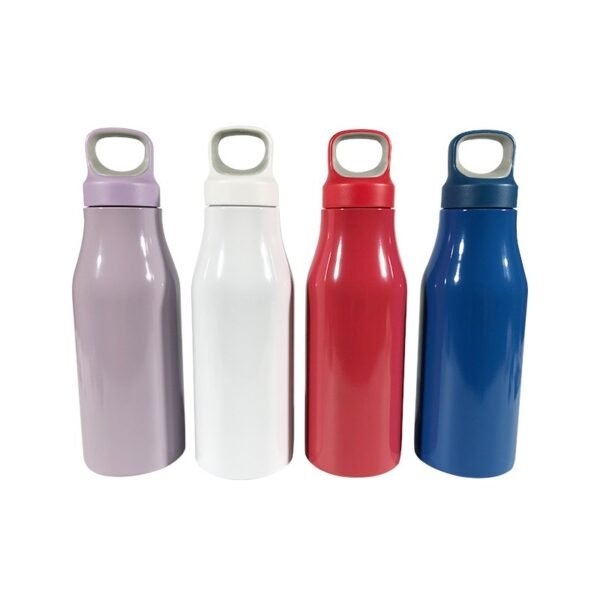 Single Layer Stainless Steel Bottle 22oz - 图片 3