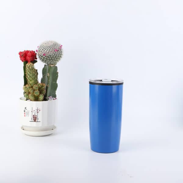 Wholesale 20oz Insulation Cup Double-layer High Value Water Bottle - 图片 4