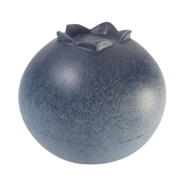 Delicious Blueberry Stress Ball - 图片 4