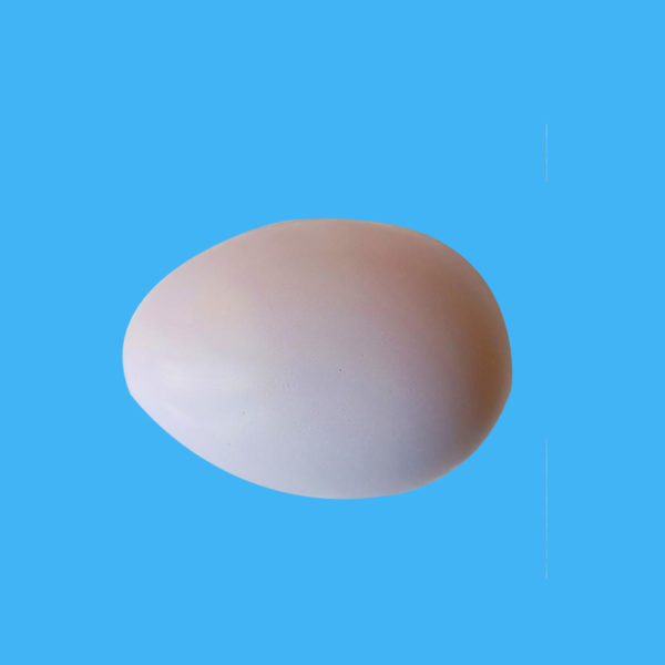 Egg Stress Ball - 图片 4