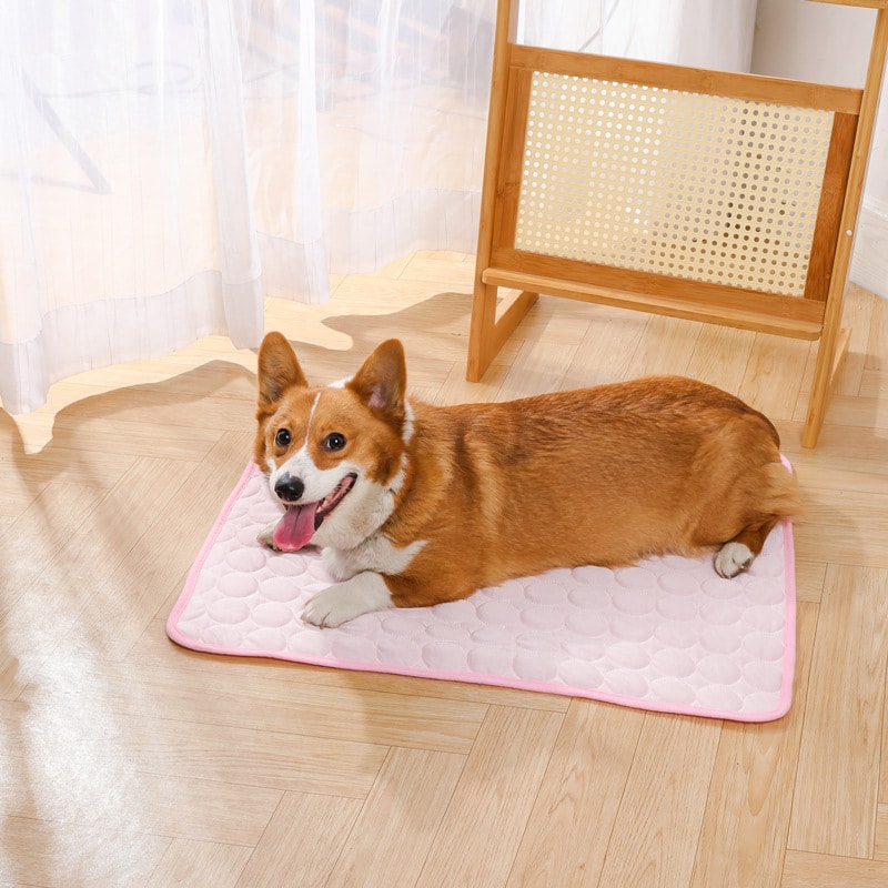 Summer Pet Friendly Ice Cooling Cushion - 图片 4