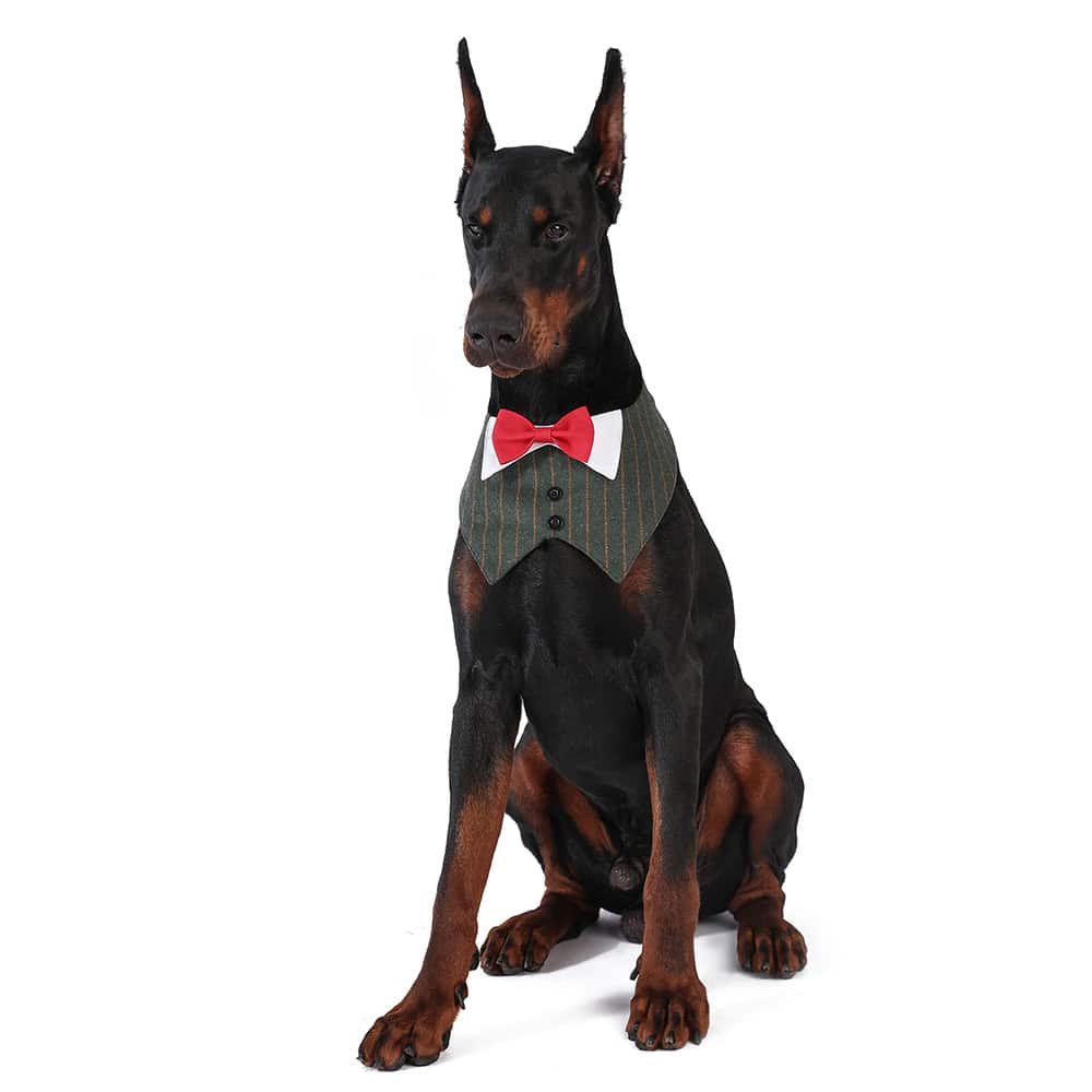 Fashionable Large Dog British Style Suit Collar Drool Scarf - 图片 4