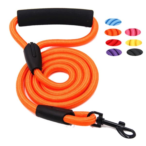Reflective Dog Collar and Leash Set - 图片 4