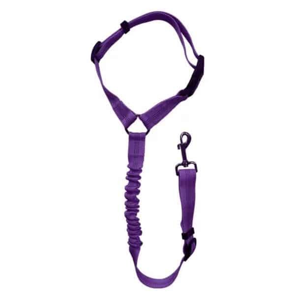 Custom Reflective Leash Durable Dog Collar - 图片 4