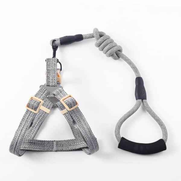 Bite-Resistant Dog Leash Set - 图片 4