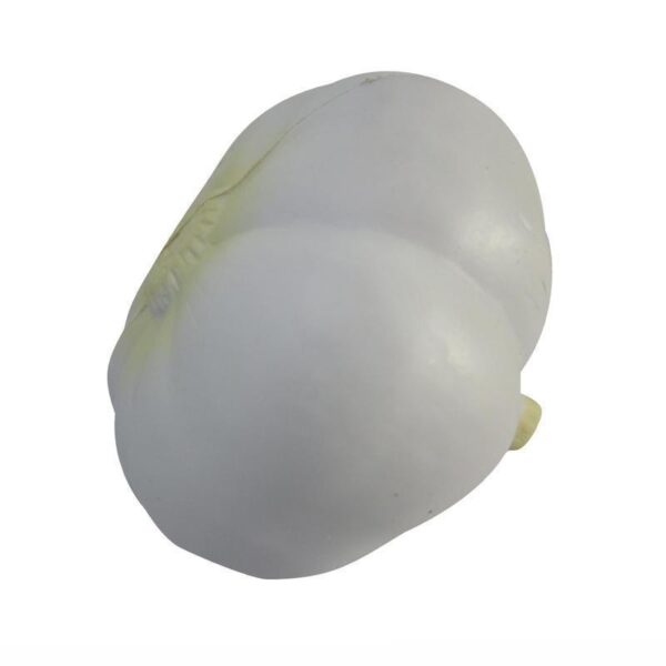 Garlic Stress Ball - 图片 5